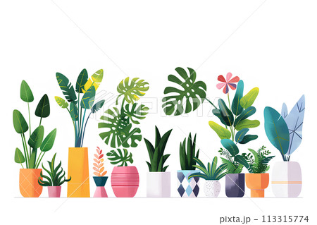 観葉植物の集合イラスト-3 113315774