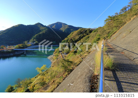 神奈川県・足柄上郡・千代の沢園地 神奈川県・足柄上郡・千代の沢園地 113315815