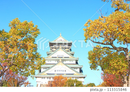大阪府大阪市、大阪城の風景 113315846
