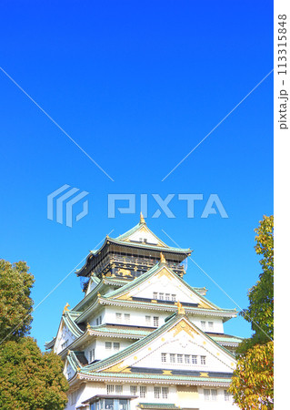 大阪府大阪市、大阪城の風景 大阪府大阪市、大阪城の風景 113315848
