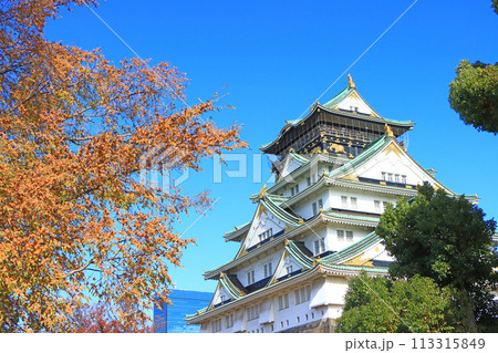 大阪府大阪市、大阪城の風景 大阪府大阪市、大阪城の風景 113315849