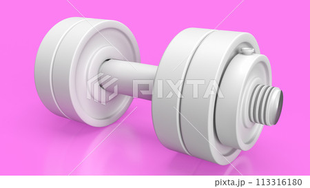 The white dumbbell for health or fitness concept 3d rendering. 113316180