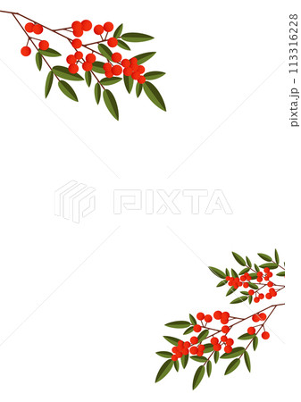 南天の枝 113316228