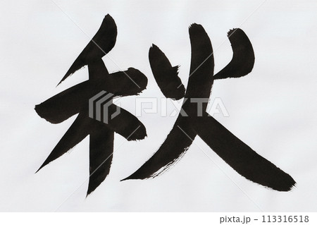 筆で書いた秋の手書き文字 113316518