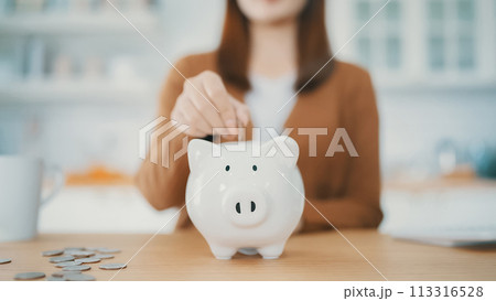 Young Asian woman putting coin in piggy bank. Save money and financial investment 113316528