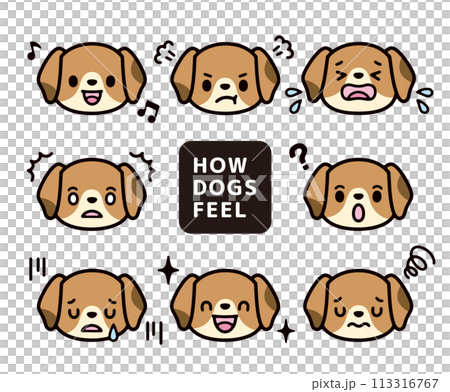 可愛的小獵犬角色的情緒、憤怒、悲傷插圖集 可愛的小獵犬角色的情緒、憤怒、悲傷插圖集 113316767