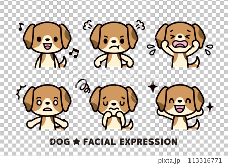 Illustration set of various facial expressions of a cute beagle dog facing forward 113316771