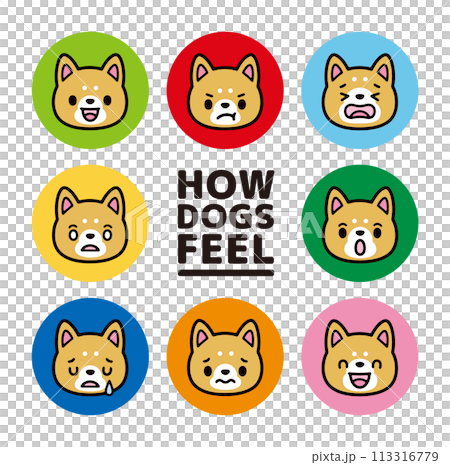 かわいい柴犬のキャラクターの表情アイコンセット 113316779