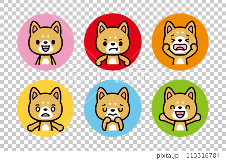 A set of cute Shiba Inu dogs facing forward with various facial expressions 113316784