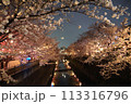 ライトアップされた夜桜 113316796