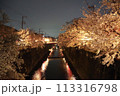 春のライトアップされた夜桜 113316798