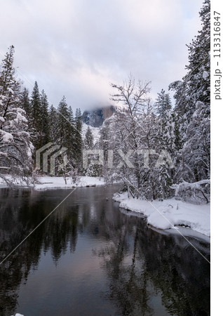 Yosemite Valley along the Merced River Yosemite Valley along the Merced River 113316847