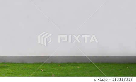 empty white wall with the green grass. Picture for use in Background image or copy space 113317318