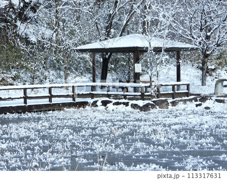 雪景色のトンボ池 雪景色のトンボ池 113317631