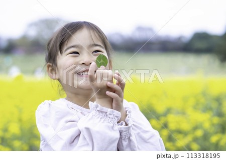 菜の花畑で遊ぶ女の子 菜の花畑で遊ぶ女の子 113318195