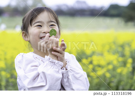 菜の花畑で遊ぶ女の子 菜の花畑で遊ぶ女の子 113318196