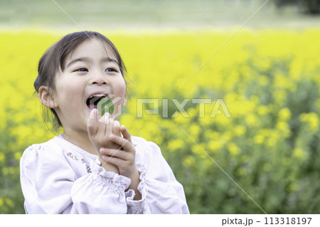 菜の花畑で遊ぶ女の子 113318197