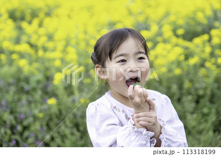 菜の花畑で遊ぶ女の子 113318199
