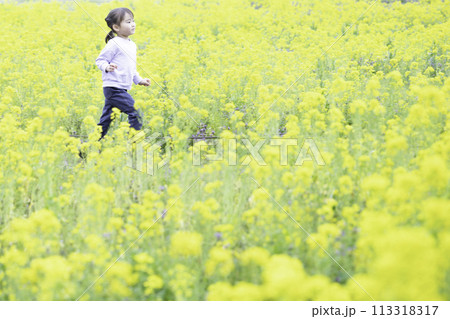 菜の花畑と女の子 菜の花畑と女の子 113318317