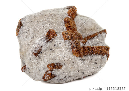 macro mineral stone Staurolite on a white background macro mineral stone Staurolite on a white background 113318385
