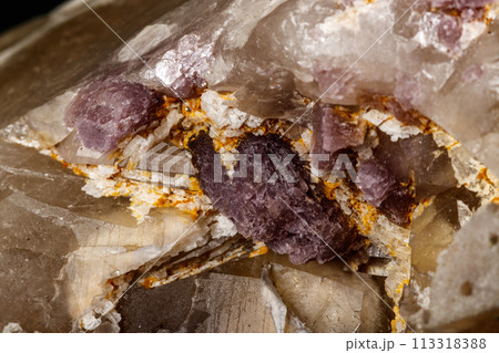 Macro mineral quartz mineral Tourmaline on Lepidolite black background 113318388