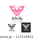 Stylized image of butterfly logo template isolate Vector illustration 113318401
