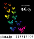 Background of butterfly flying  isolate vector illustration 113318406