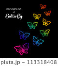 Background of butterfly flying  isolate vector illustration 113318408