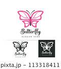 Stylized image of butterfly logo template isolate Vector illustration 113318411