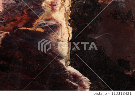 macro stone mineral jasper on black background 113318421