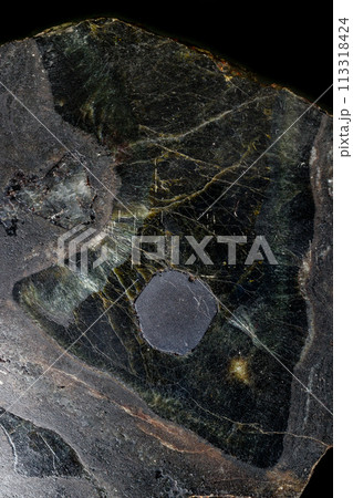 Macro Diopside mineral stone on black background 113318424