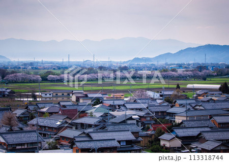 滋賀県多賀町敏満寺周辺の風景 113318744