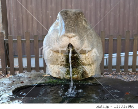 手水舎 113318966