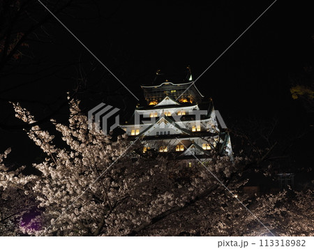 大阪城天守閣と夜桜 113318982