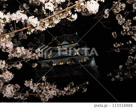 大阪城天守閣と夜桜 大阪城天守閣と夜桜 113318988