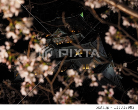 大阪城天守閣と夜桜 113318992