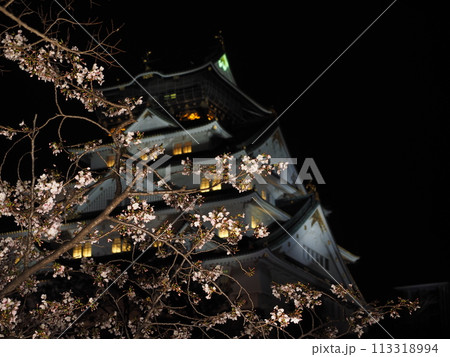 大阪城天守閣と夜桜 大阪城天守閣と夜桜 113318994