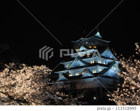 大阪城天守閣と夜桜 大阪城天守閣と夜桜 113318995