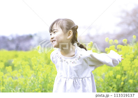 菜の花畑で遊ぶ女の子 菜の花畑で遊ぶ女の子 113319137