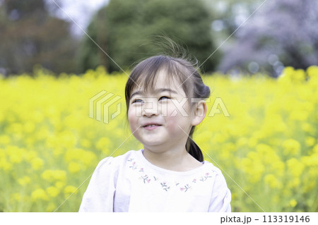 菜の花畑で遊ぶ女の子 菜の花畑で遊ぶ女の子 113319146