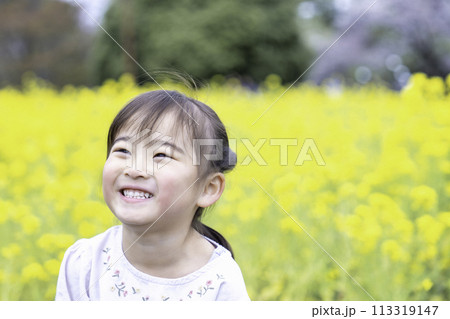 菜の花畑で遊ぶ女の子 菜の花畑で遊ぶ女の子 113319147