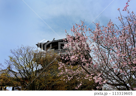 池田城と桜 113319605