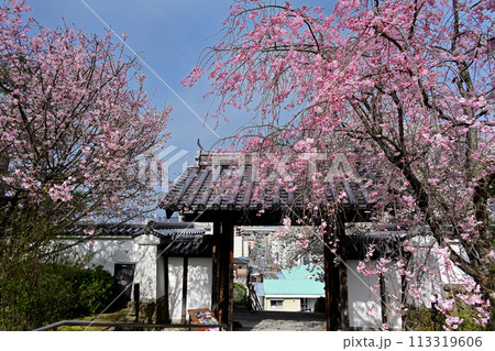 池田城址公園 城門と桜 池田城址公園 城門と桜 113319606