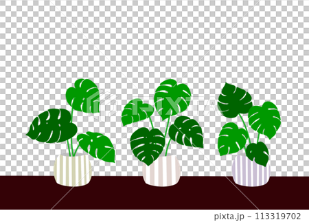 Potted Monstera Postcard 113319702