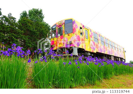 フラワー長井線　山形鉄道　あやめ 113319744