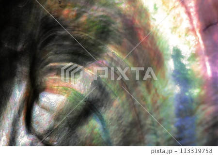 緑のアート、カラフルなアート 緑のアート、カラフルなアート 113319758