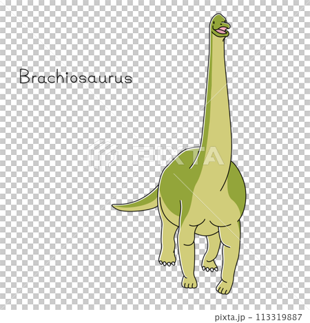 恐竜ブラキオサウルス　（正面、カラー） 113319887