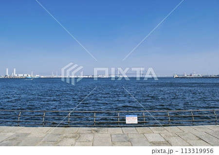 横浜みなとみらい地区 臨港パークから横浜ベイブリッジの風景 横浜みなとみらい地区 臨港パークから横浜ベイブリッジの風景 113319956