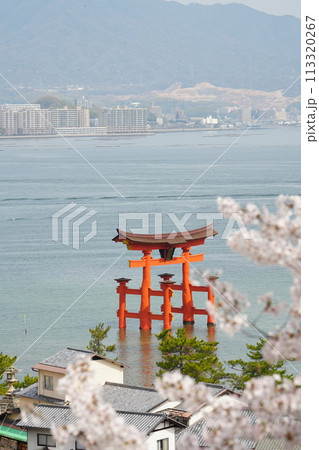 宮島の大鳥居（桜の季節）（縦） 113320267