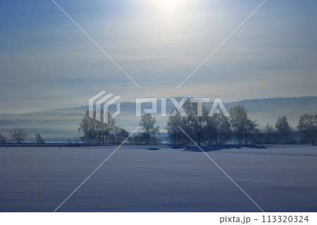 朝日を浴びる雪原 113320324